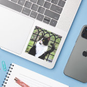 窓のオリジナル動物絵画アートに登場するタキシード猫 シール (ノートパソコンとiPhone)