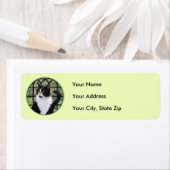 窓のオリジナル動物絵画アートに登場するタキシード猫 ラベル (インサイチュ)