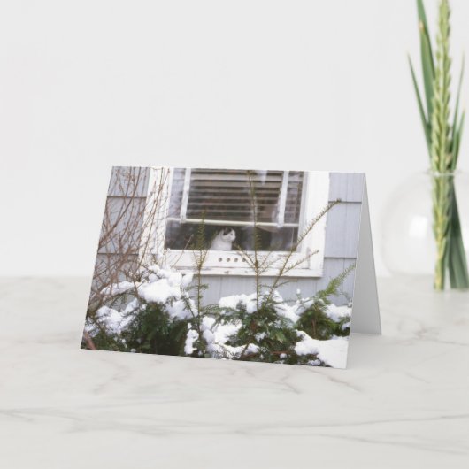 窓のクリスマスのかわいらしい黒い及び白の猫 シーズンカード (正面)