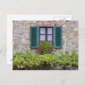 窓のフラワーボックス ポストカード (正面/裏面)