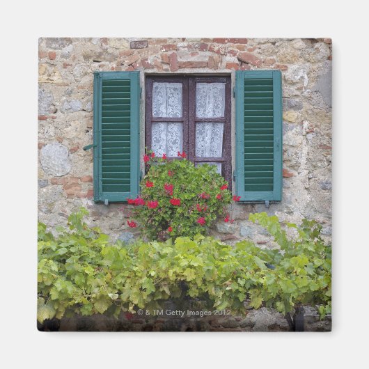 窓のフラワーボックス マグネット (正面)