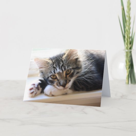 窓のブランクの挨拶状によるZorro カード (正面)