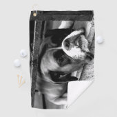 窓の上のボクサー犬Gtcna ゴルフタオル (インサイチュ)