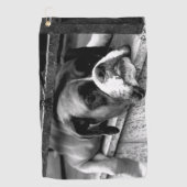 窓の上のボクサー犬Gtcna ゴルフタオル (正面)