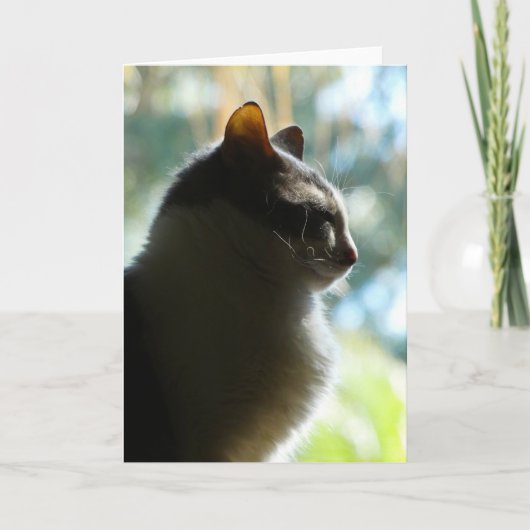 「窓の中のココ」グリーティングカード カード (正面)