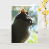 「窓の中のココ」グリーティングカード カード (黄色い花)