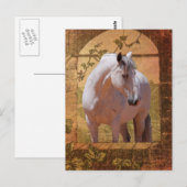 窓の中のモリスコ ポストカード (正面/裏面)