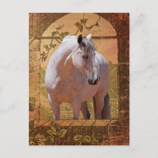 窓の中のモリスコ ポストカード (正面)