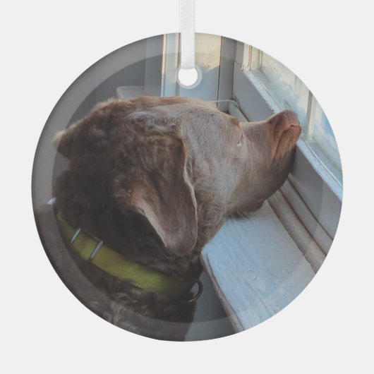 窓の中の犬 ガラスオーナメント (正面)