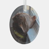 窓の中の犬 ガラスオーナメント (正面右)