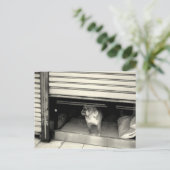 窓の中の犬 ポストカード (スタンド正面)