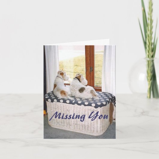 窓の二線式のフォックステリア犬 カード (正面)