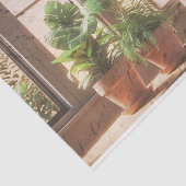 窓の切り離しによる観葉植物 薄葉紙 (詳細)