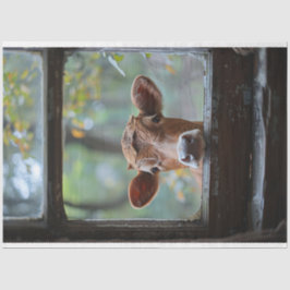 窓の切り離しを通して見る奇妙な牛 薄葉紙