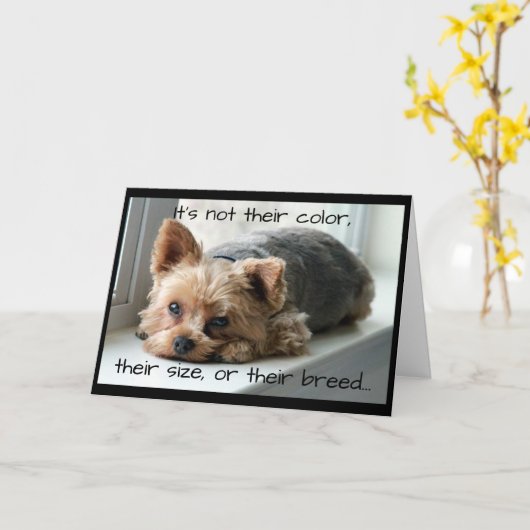 窓の土台ペット悔やみや弔慰のヨークシャーテリア カード (黄色い花)