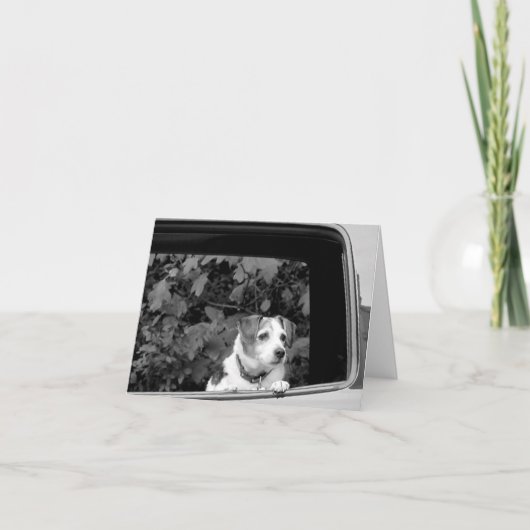 窓の外の犬のグリーティングカード サンキューカード (正面)