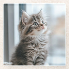 窓の外を見つめる子猫 ガラスコースター