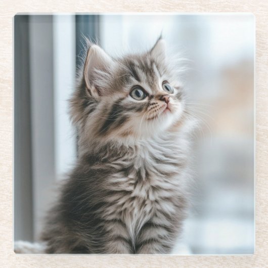 窓の外を見つめる子猫 ガラスコースター (正面)