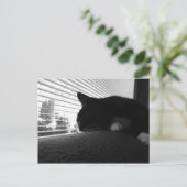 窓の外を見ているチャーリー ポストカード (スタンド正面)