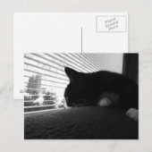 窓の外を見ているチャーリー ポストカード (正面/裏面)