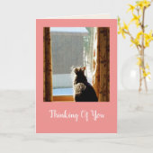 窓の子猫が良くなる カード (黄色い花)