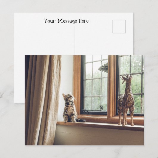 窓の子猫は？ ポストカード (正面/裏面)