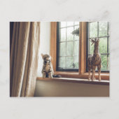 窓の子猫は？ ポストカード (正面)