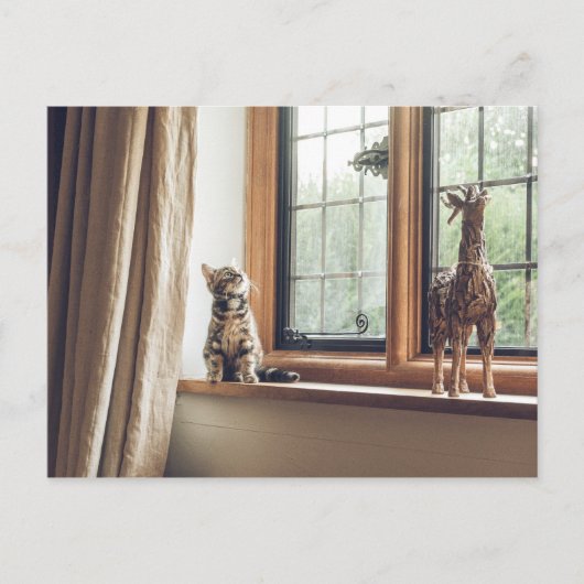 窓の子猫は？ ポストカード (正面)