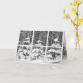 窓の松 カード (黄色い花)