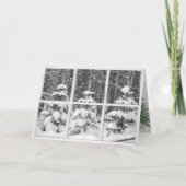 窓の松 カード (正面)