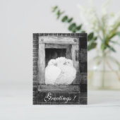 窓の白い鳩 ポストカード (スタンド正面)