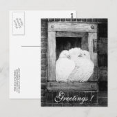 窓の白い鳩 ポストカード (正面/裏面)