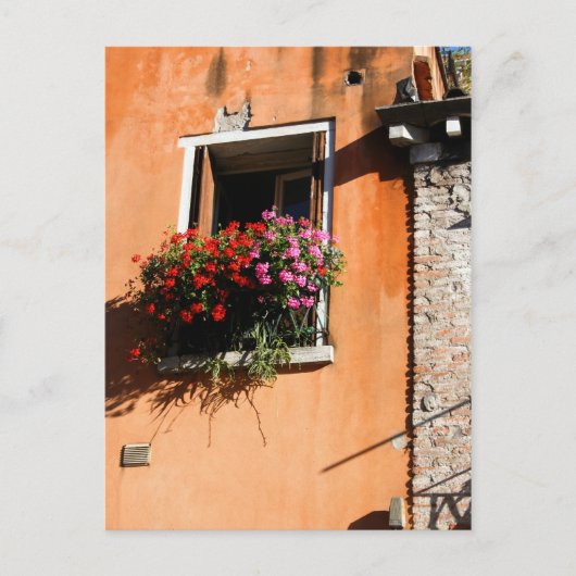窓の花 ポストカード (正面)