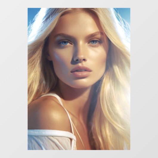 窓の装飾フィルム ウィンドウサイン (シート)