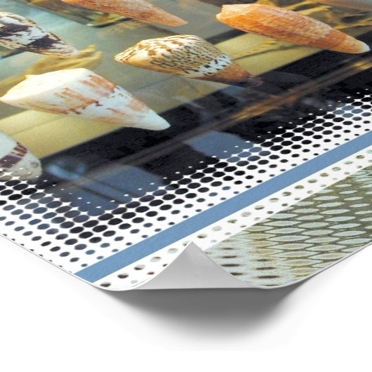 窓の貝殻 ポスター (角)