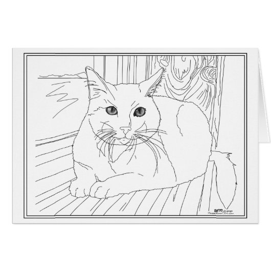 窓の貴重な猫 (正面横)