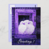 窓の青い紫に白い鳩 ポストカード (正面/裏面)