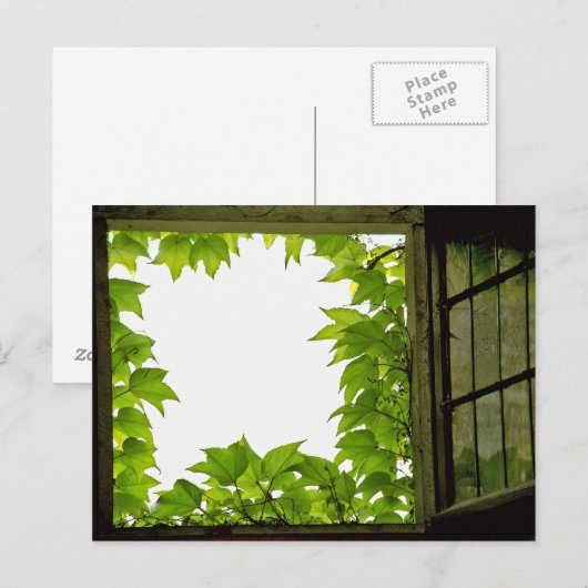 窓はがき ポストカード (正面/裏面)