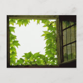 窓はがき ポストカード (正面)