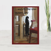 窓を見ている猫 カード (正面)