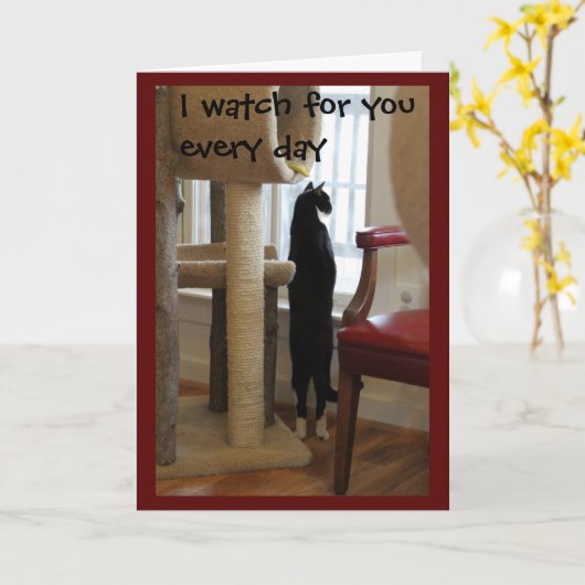 窓を見ている猫 カード (黄色い花)