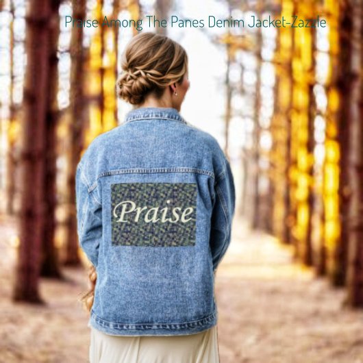 窓ガラスの間の賞賛 デニムジャケット