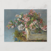 窓ボックス内のアルパインバラ- Andreas Lach ポストカード (正面)