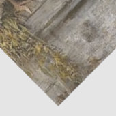 窓レッジにカラフル止まっているデカップチックス 薄葉紙 (詳細)