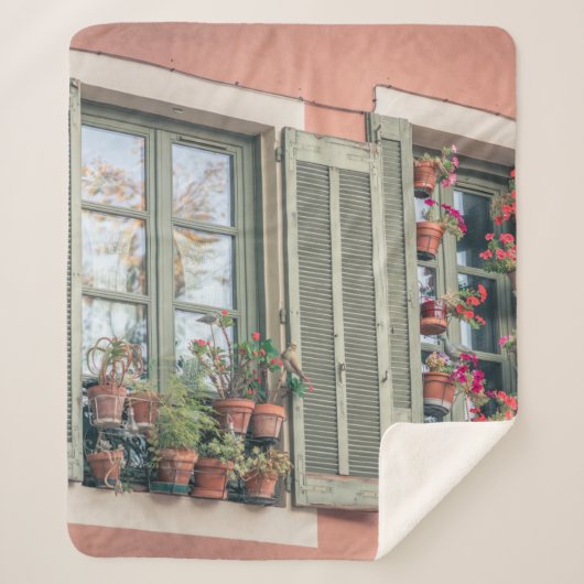 窓付近の花瓶に色合いの花を詰め合わせた花 シェルパブランケット (正面)