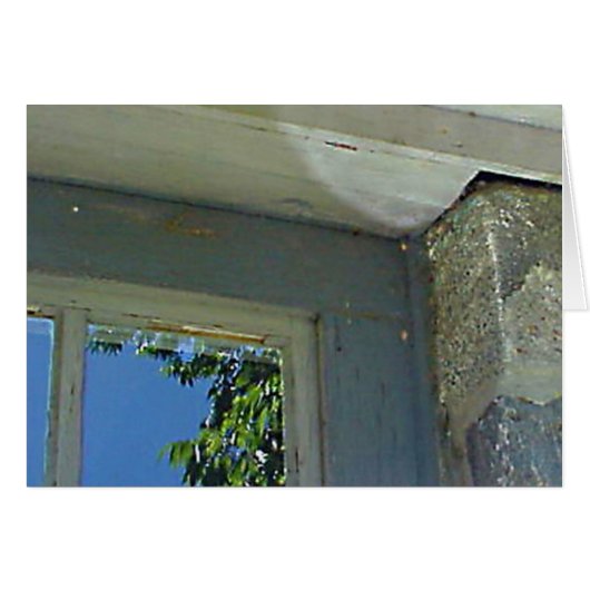 窓反射カード (正面横)