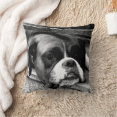 窓枠のボクサー犬 クッション (ブランケット)