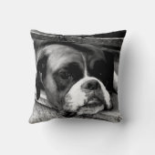 窓枠のボクサー犬 クッション (裏面)