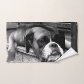 窓枠のボクサー犬 バスタオルセット (ハンドタオル)