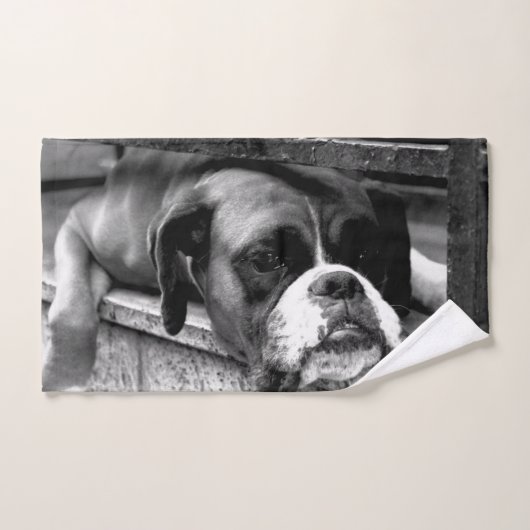 窓枠のボクサー犬 バスタオルセット (ハンドタオル)